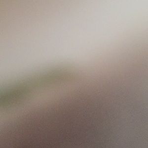 Meet your Posher, Breesha